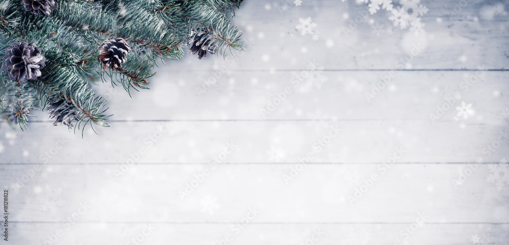 圣诞背景是云杉树枝和雪糕筒，还有文本的复制空间。