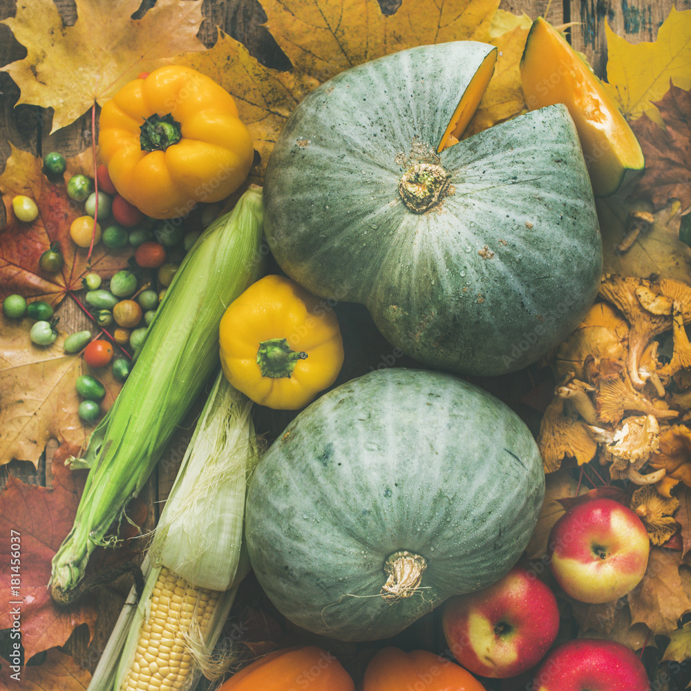 木制餐桌背景下的秋季蔬菜分类，俯视图，方形作物。秋季食品配料