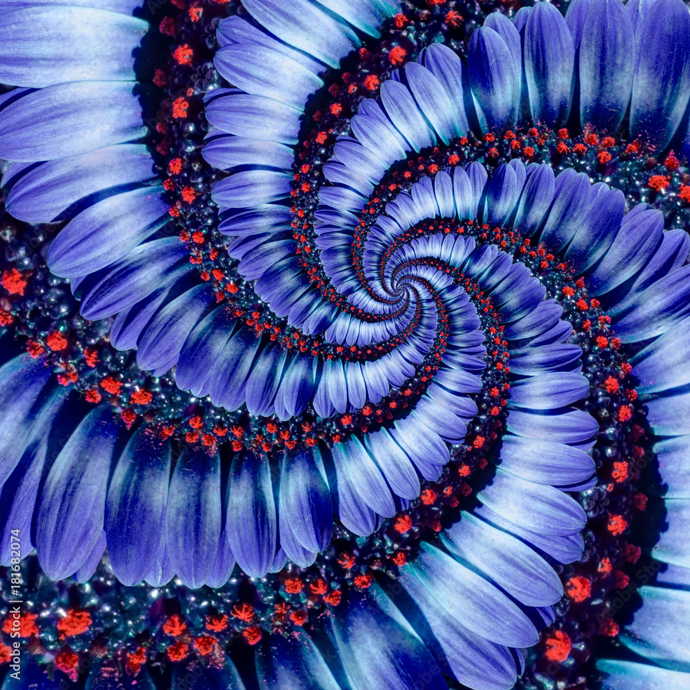 蓝色迷彩菊花螺旋抽象分形效果图案背景。蓝紫色海军蓝流动