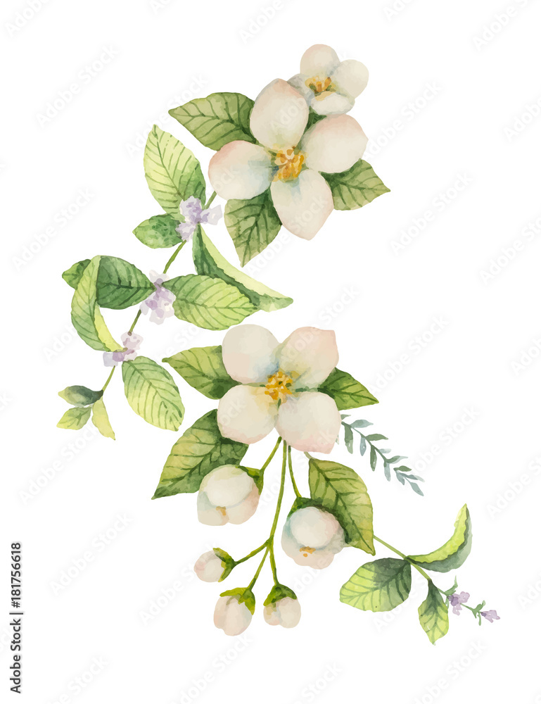 Watercolor vector wreath Jasmine and mint isolated on a white background.