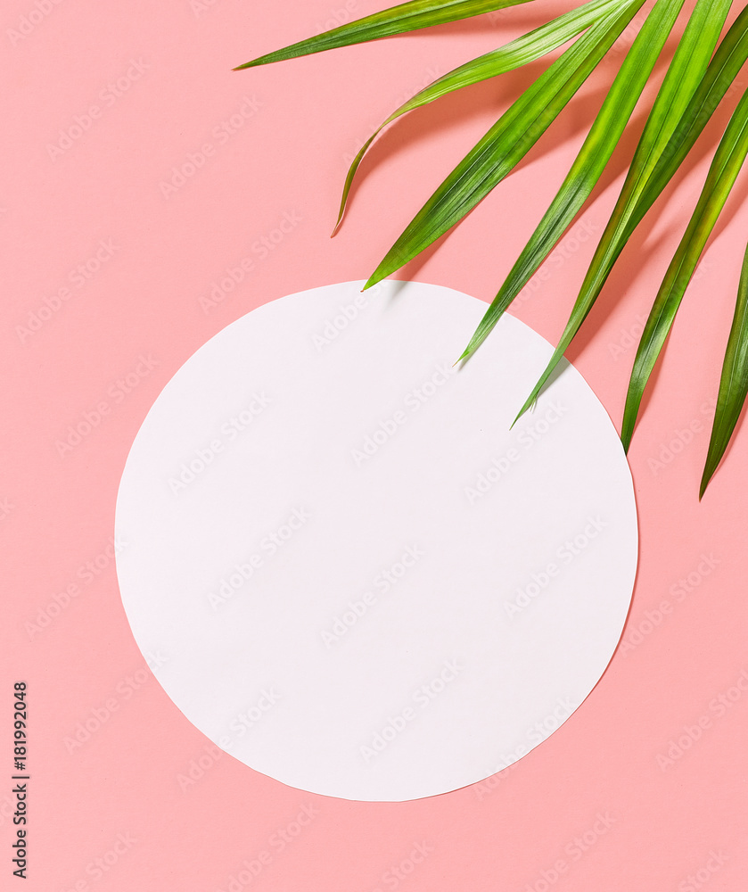 tropical leaves on pink background