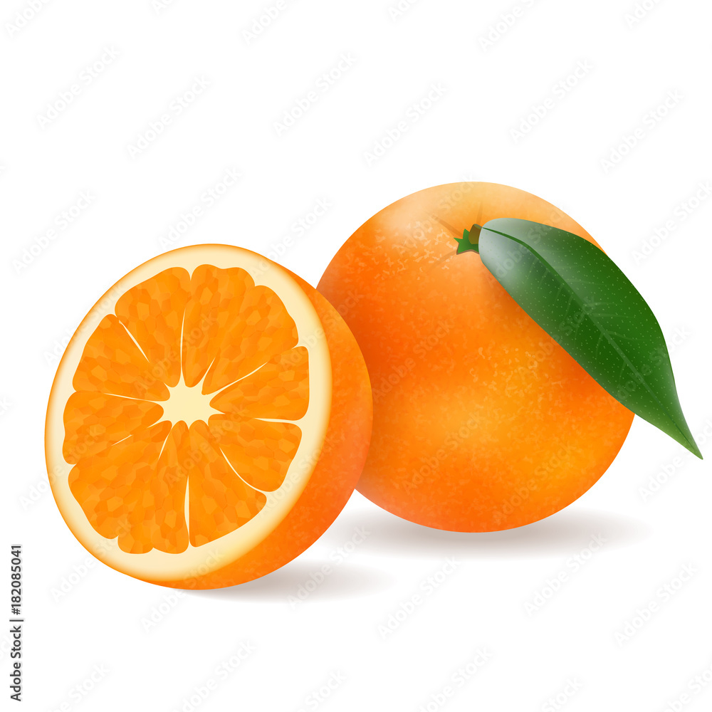 多汁的橙色，逼真风格的白色背景上美味的水果。矢量插图。