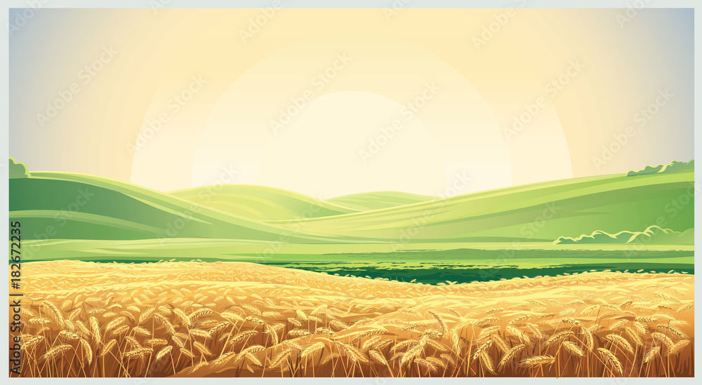 Summer landscape with a field of ripe wheat, and hills and dales in the background