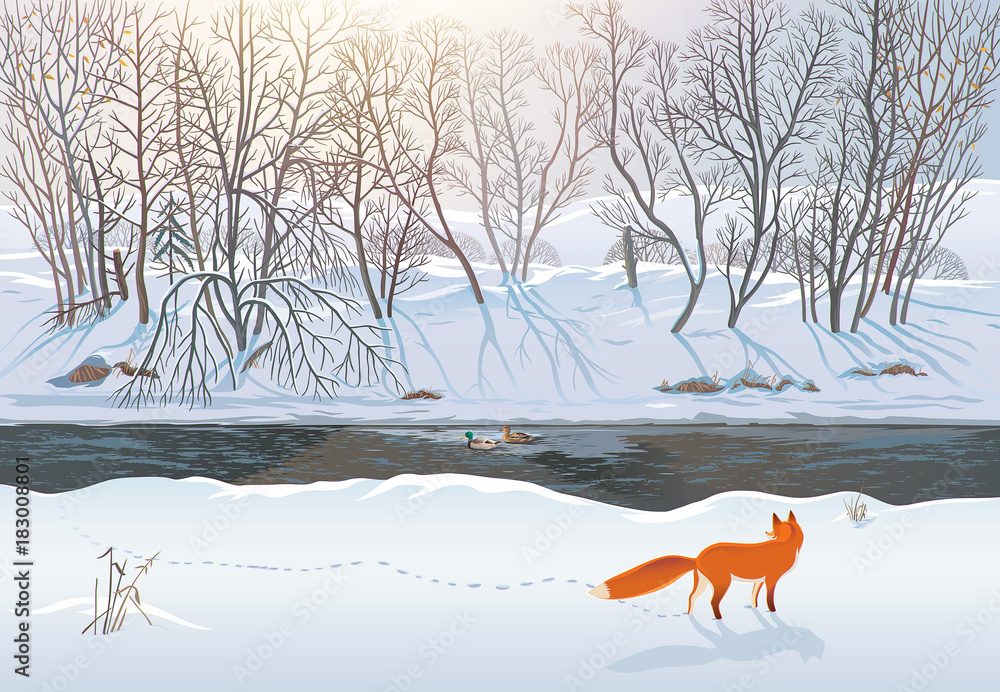 Winter forest with a fox that tries to hunt two ducks in the river. Raster illustration.