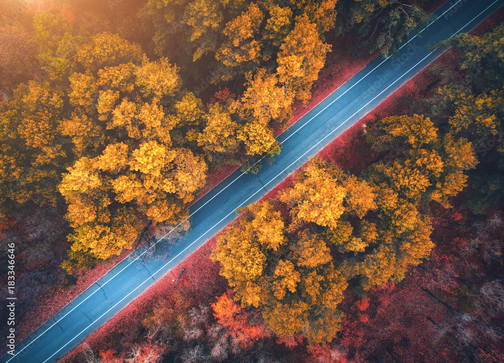 日落时美丽的秋林中的公路鸟瞰图。空旷的乡村公路构成了美丽的景观，