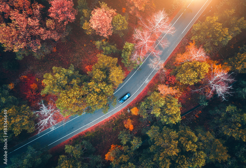 日落时，秋林中模糊的汽车俯瞰道路。乡村道路的壮丽景观，