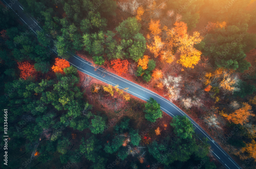 日落时美丽的秋林中的公路鸟瞰图。空旷的乡村公路构成了美丽的风景。