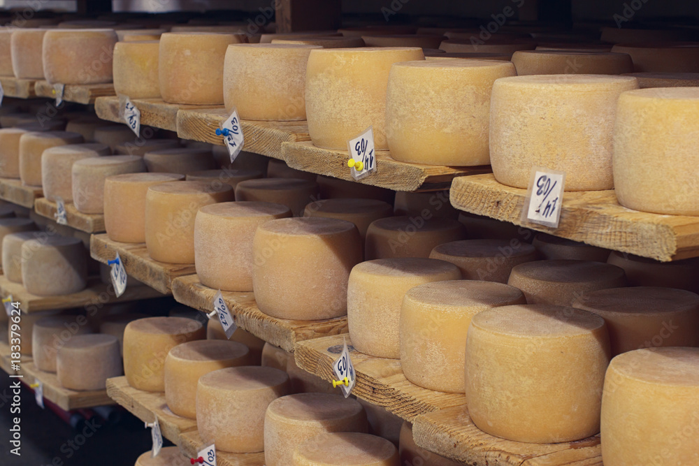 生产农场地窖里的老化奶酪