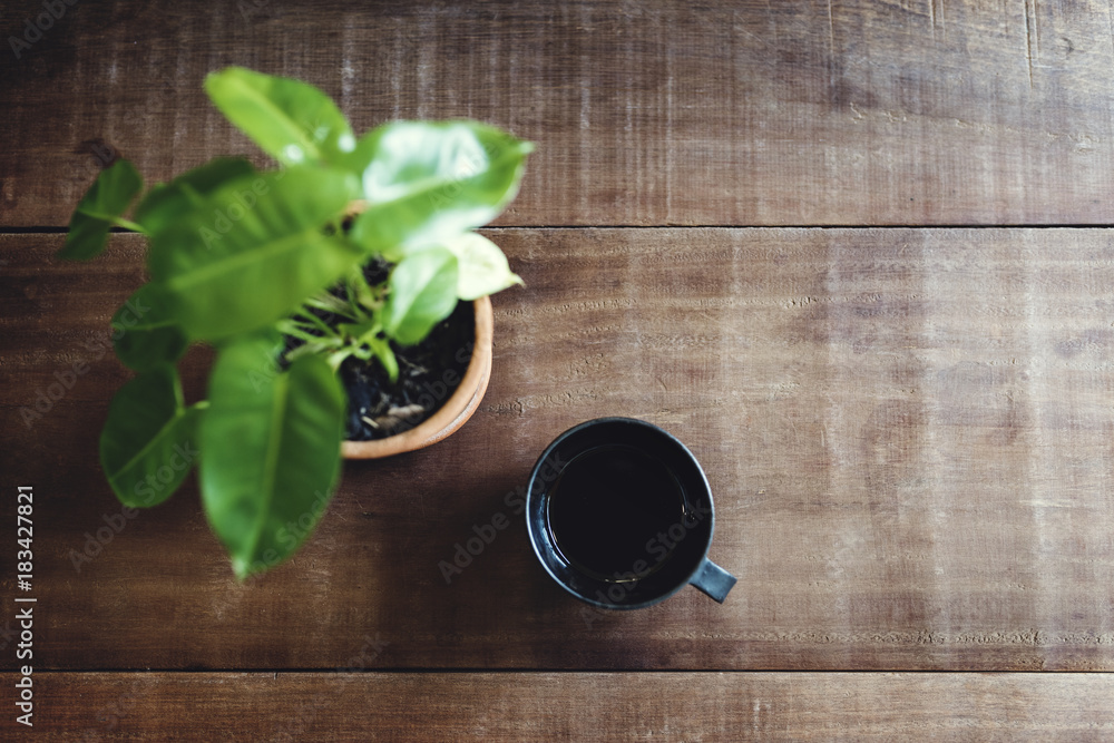 A cup of tea and a plant on a table