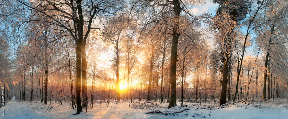 冬季Landschaft:Zauberhafter Sonnenntergang im Wald