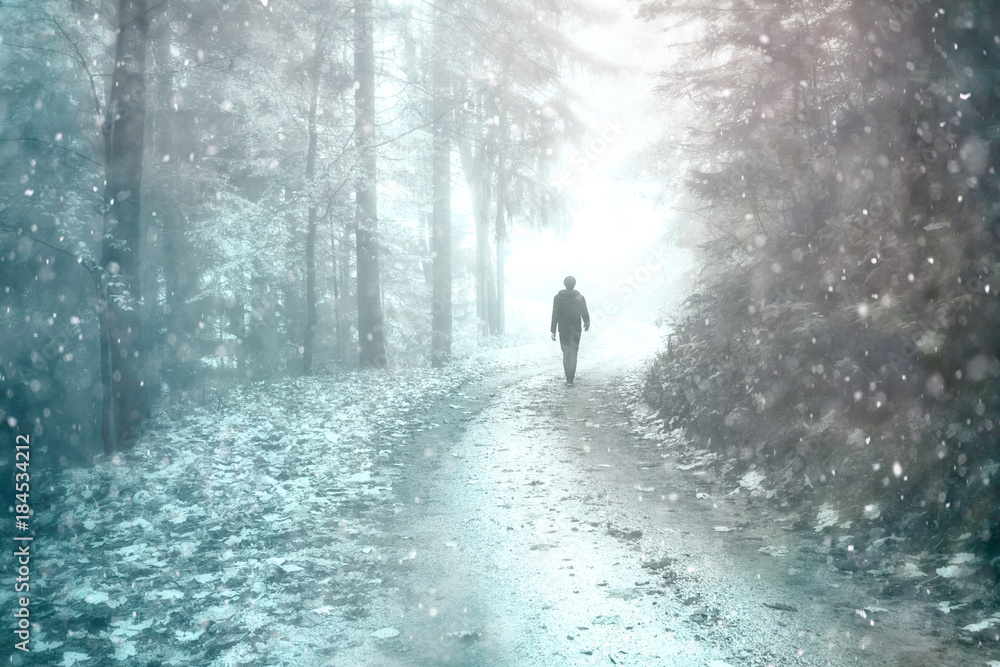 下雪天和雾天，男人走在森林路上。使用了光晕和滤色效果。