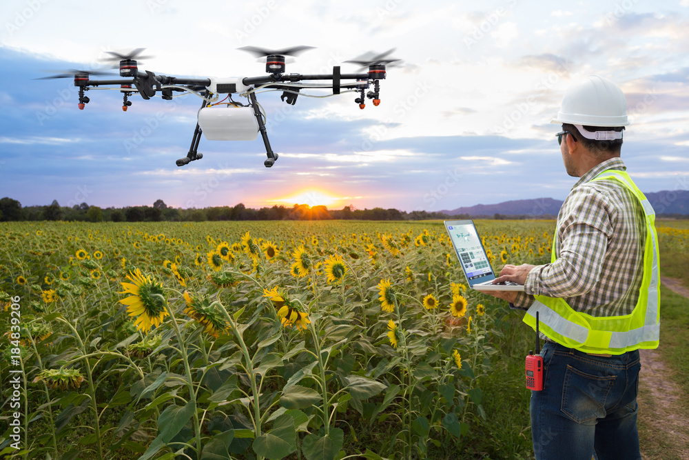 .技术员农民在向日葵地上使用wifi计算机控制农业无人机，智能农场公司