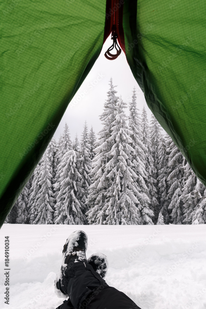 在白雪皑皑的松林背景下，绿色帐篷和游客在里面。令人惊叹的冬季景观