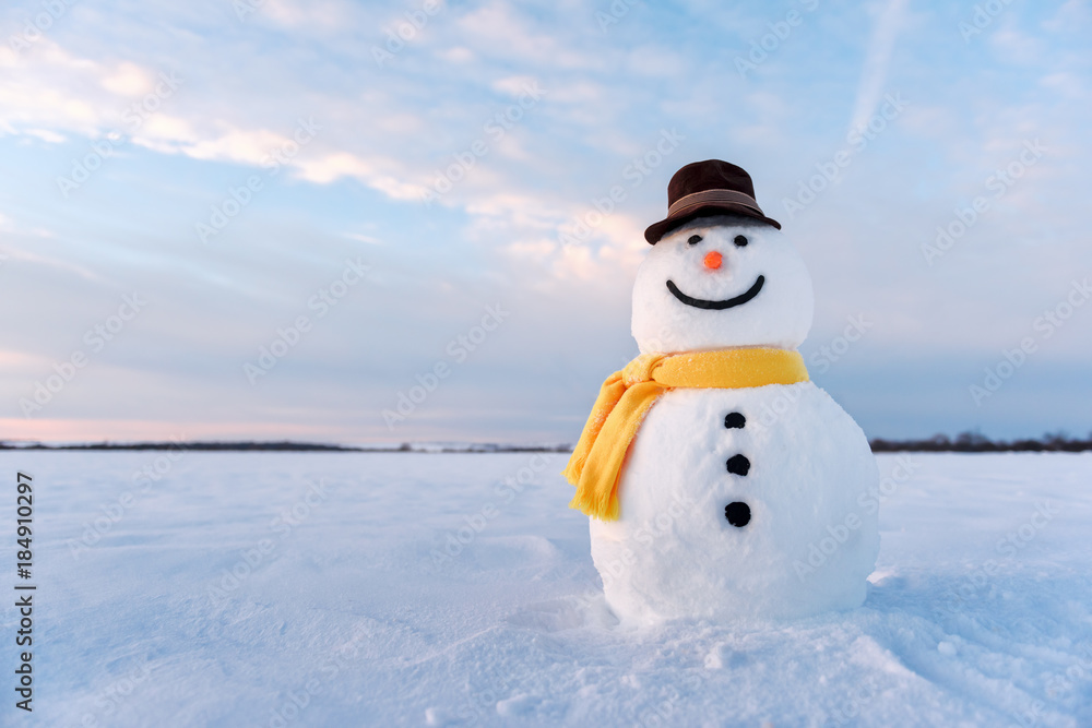 雪地上戴着时髦帽子和黄色鳞片的有趣雪人。圣诞快乐，新年快乐！