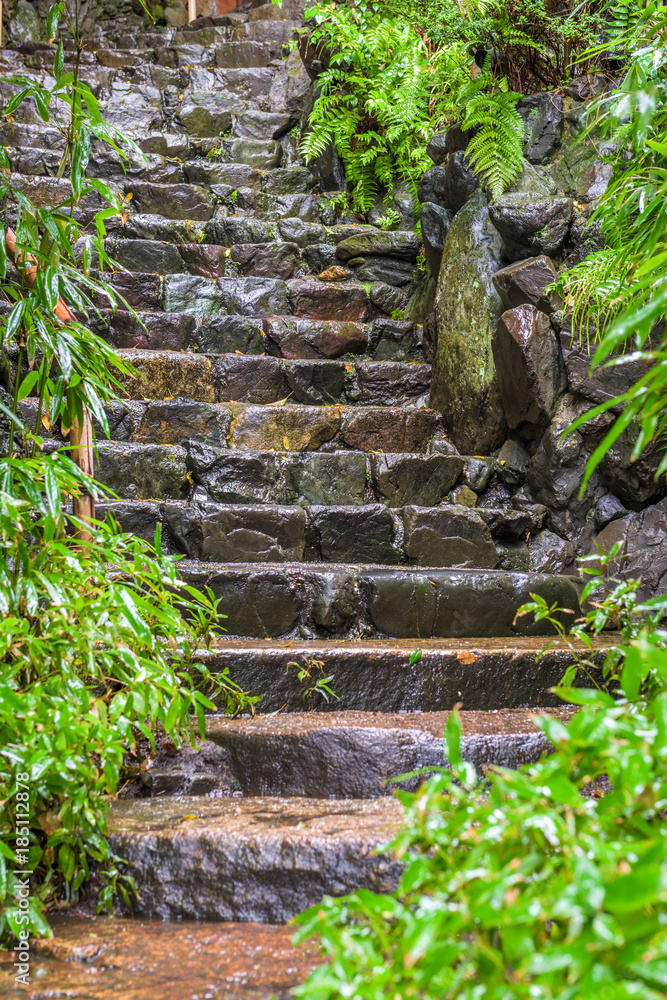湿石阶