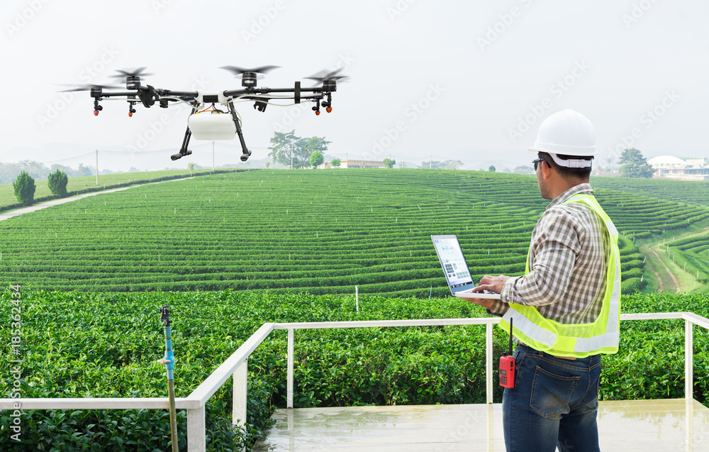 。技术农民使用无线网络计算机控制农业无人机在茶叶上喷洒肥料