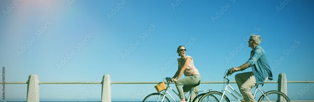快乐的休闲情侣在码头上骑自行车