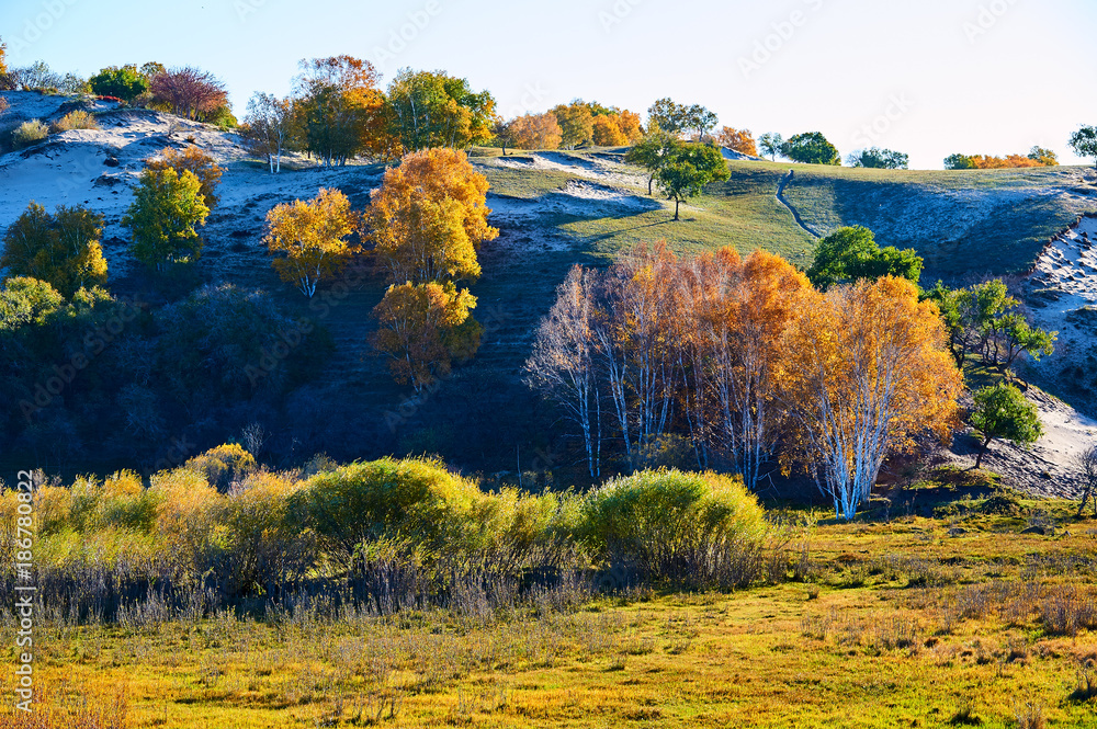 The valley autumn landscape.