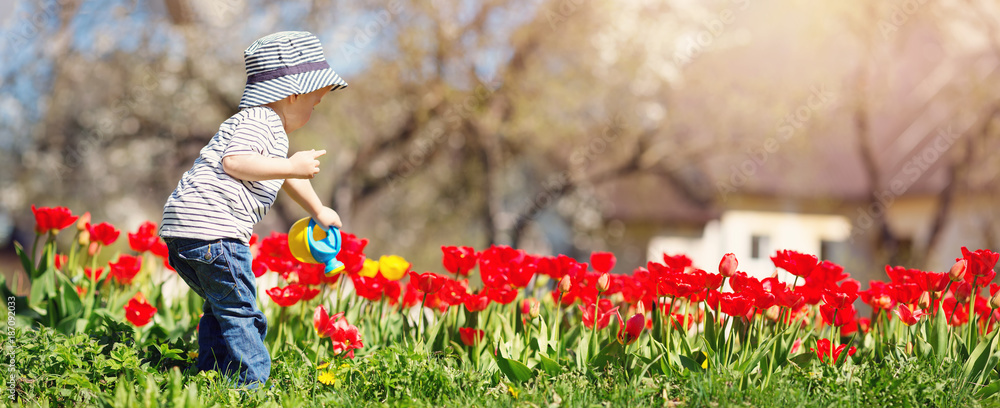 美丽的春日，小孩在花坛上浇花