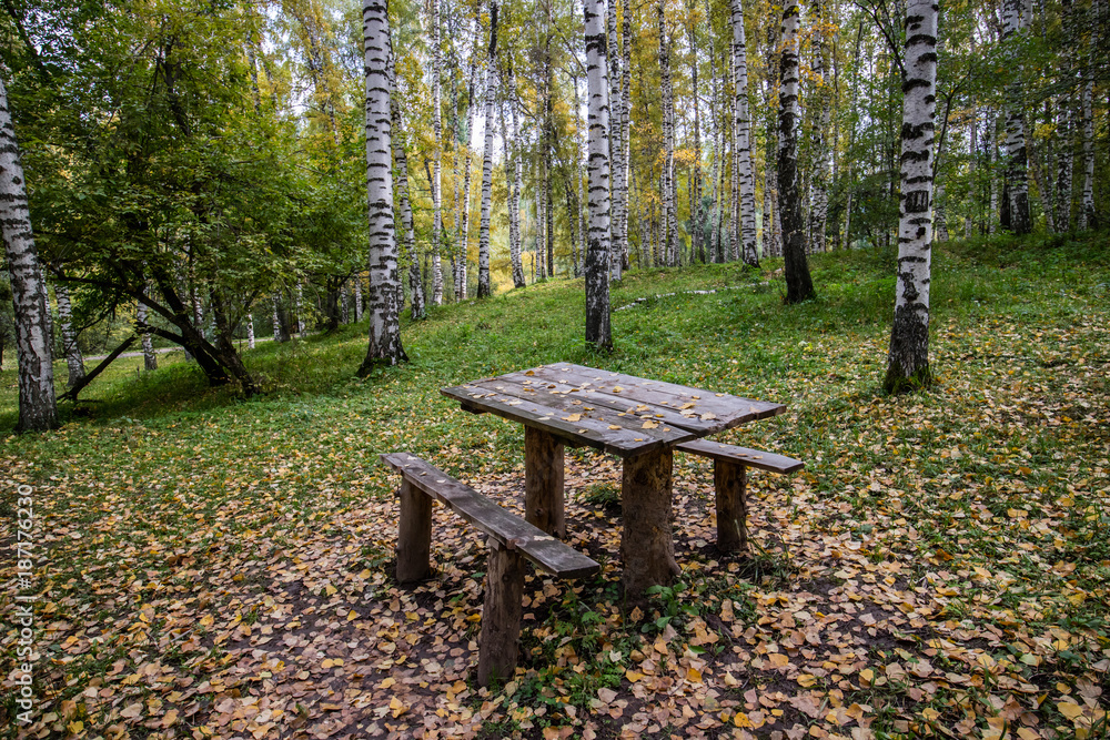 Table and  bench in Birchwood