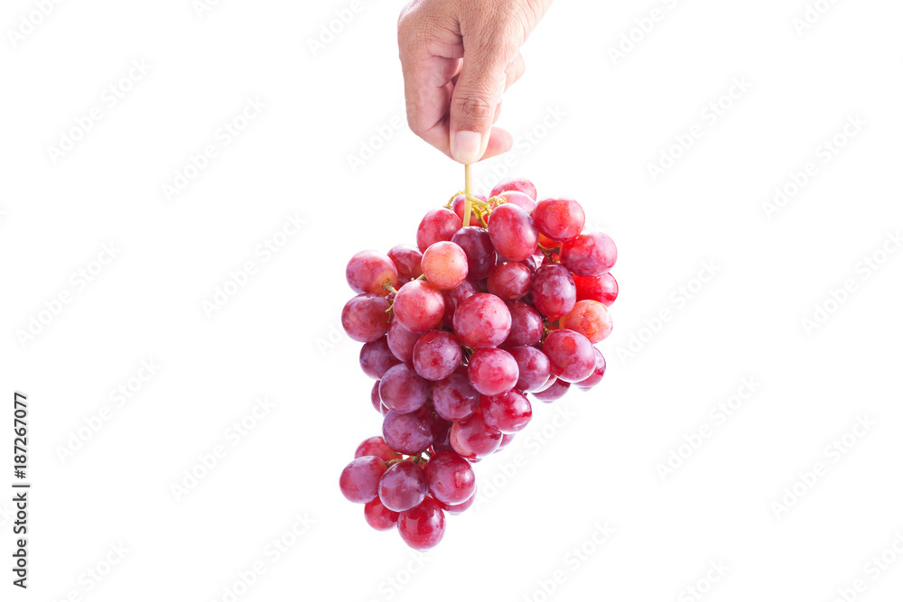 手拿新鲜的红色葡萄串，分离在白色背景上。