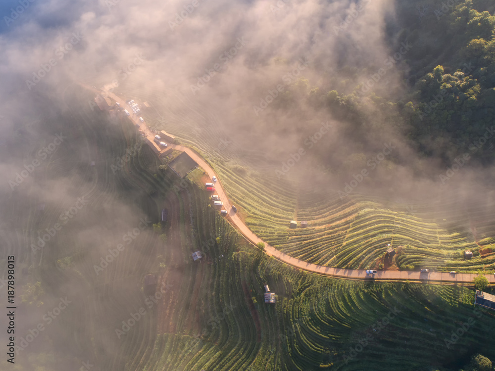 2000年茶园俯视图和Chaing Doi Ang Khang山上漂浮的薄雾