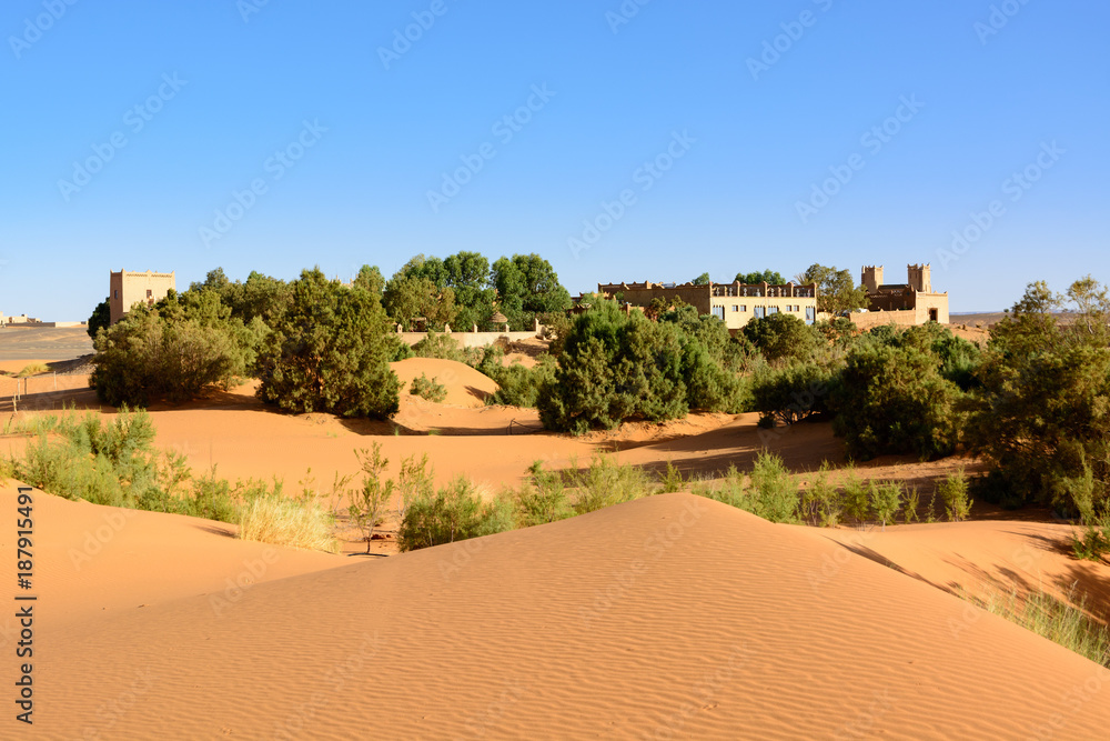 撒哈拉沙漠，埃尔格-切比沙丘。摩洛哥默佐加
