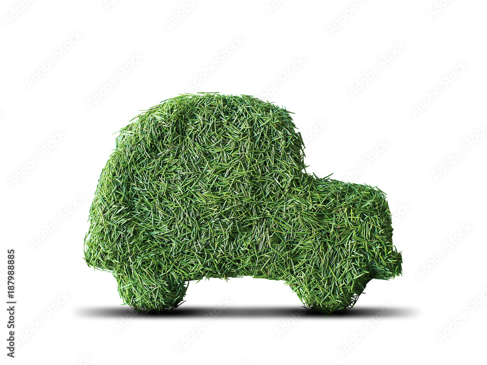 由云杉针叶组成的小型绿色环保车