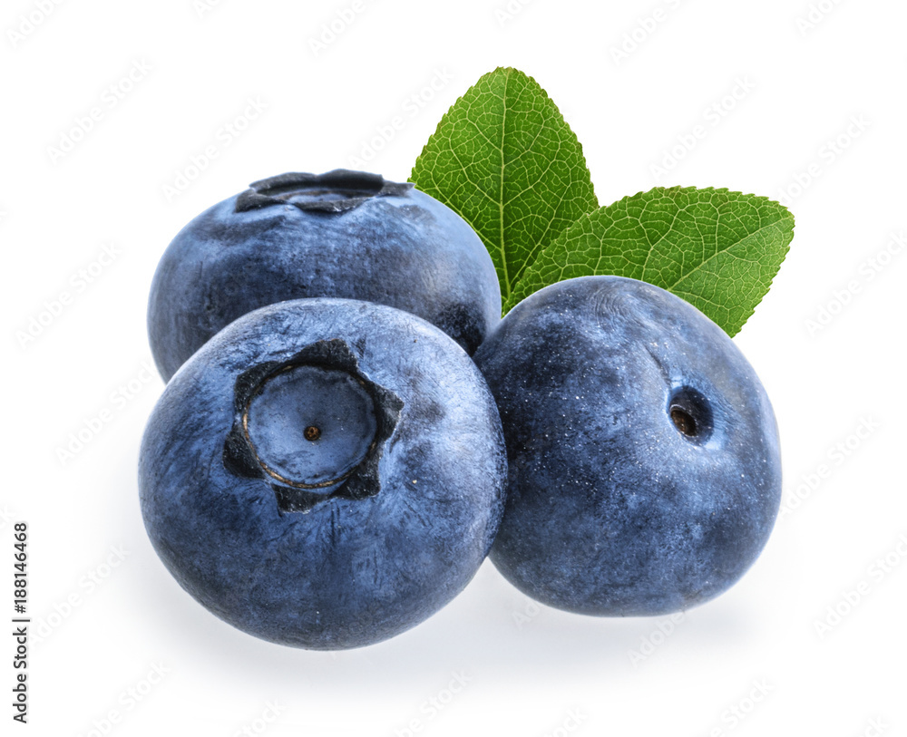 在白色背景下分离的蓝莓