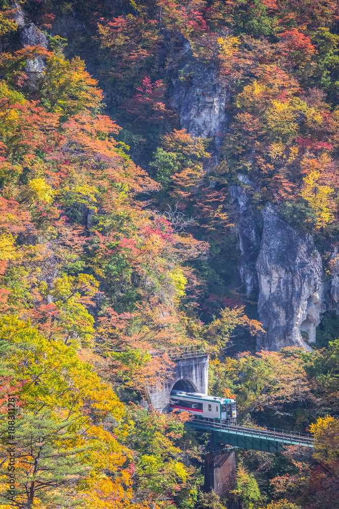 秋季Naruko峡谷的Rikuu线