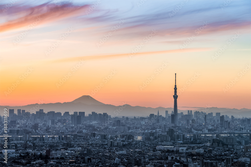 傍晚富士山的东京城市景观