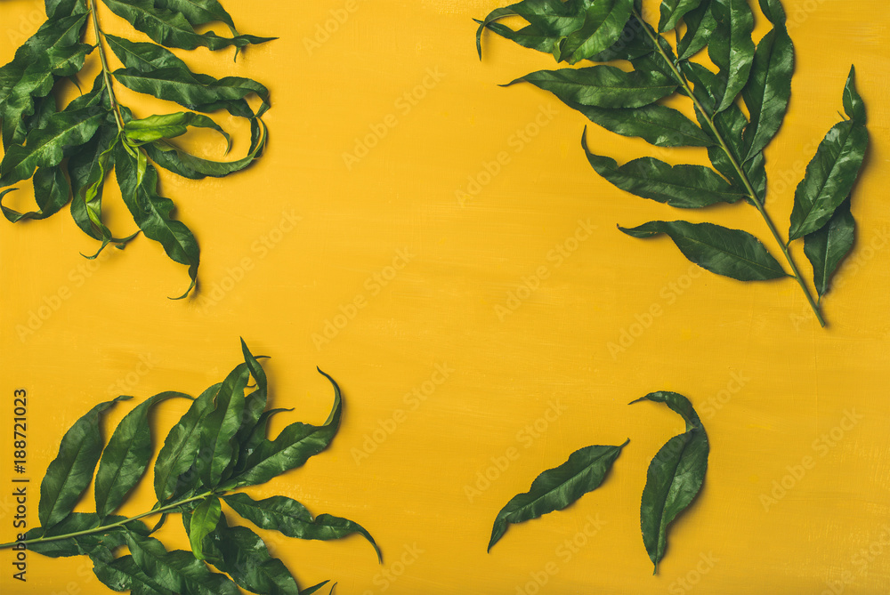 Flat-lay of tropical tree green leaves over bright yellow background, top view, horizontal compositi