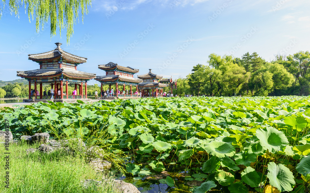 The Mid-lake Pavilion and a pond of lotuses. Located in Chengde Mountain Resort. It is a large compl