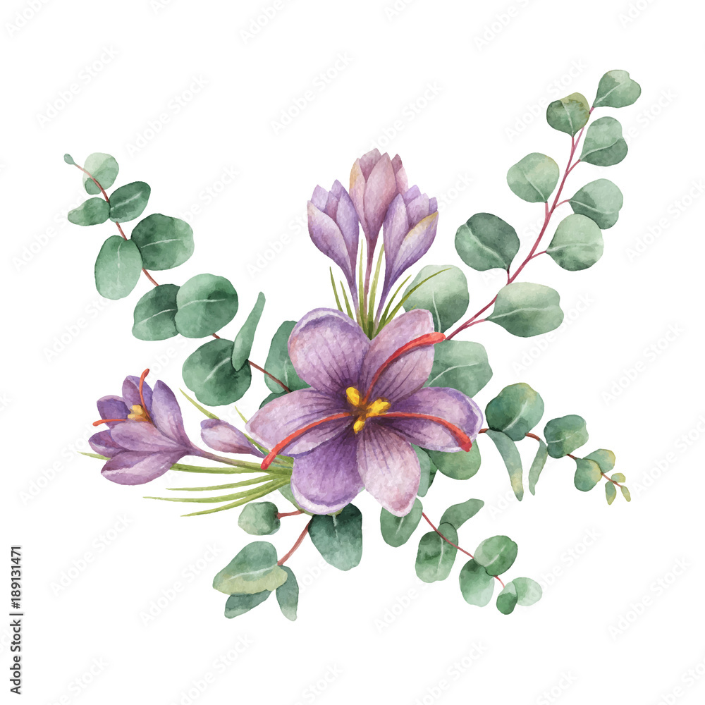 Watercolor vector bouquet with green eucalyptus leaves and flowers of saffron.