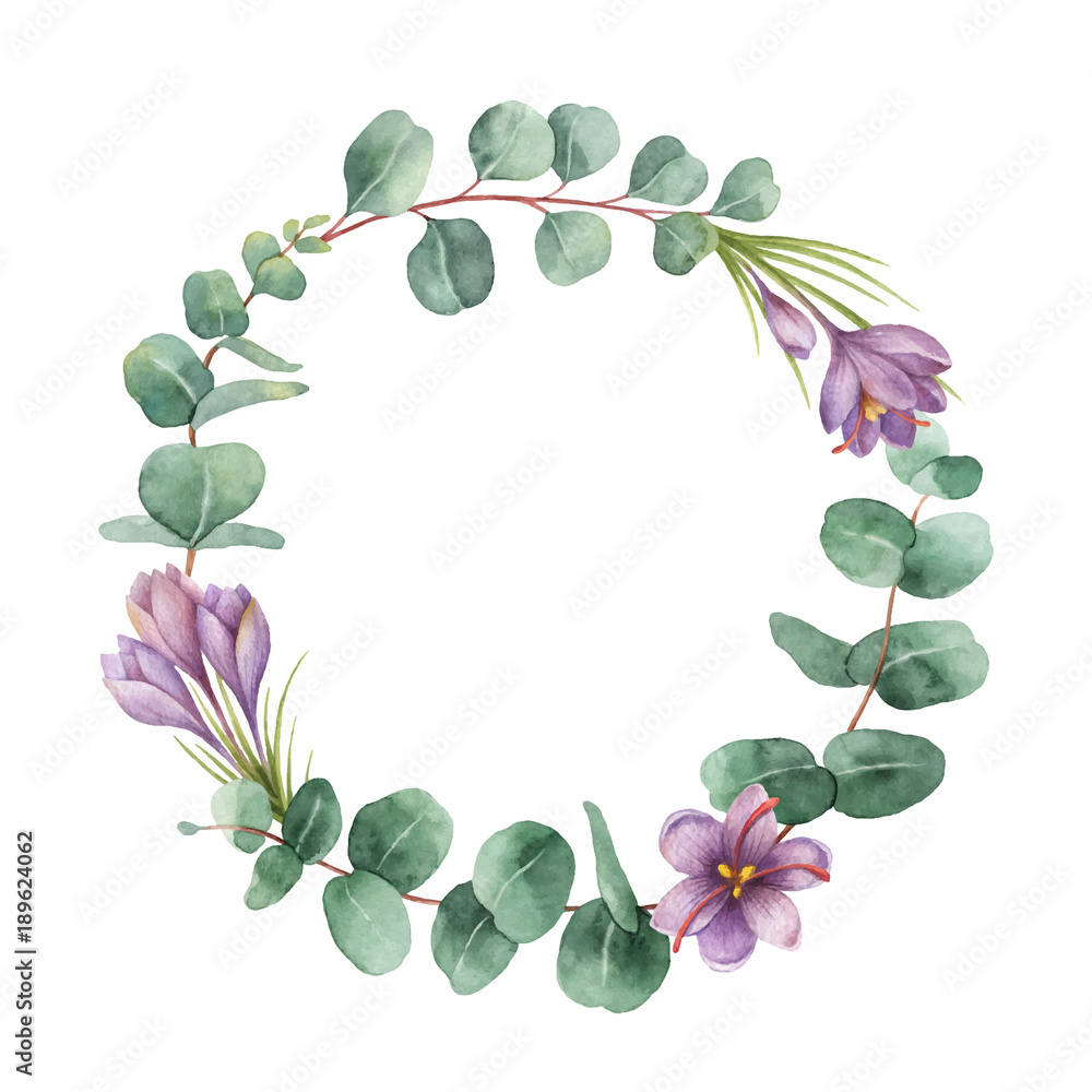 Watercolor vector round wreath with eucalyptus leaves and flowers of saffron.