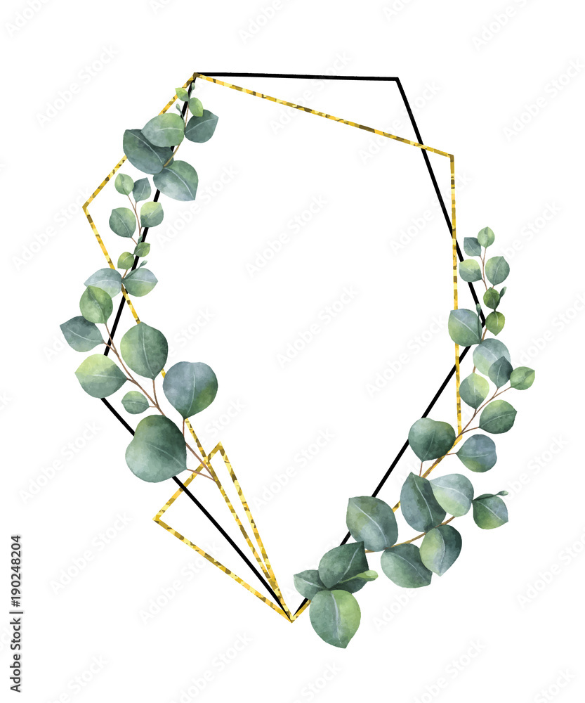 水彩矢量构图来自桉树树枝和金色几何框架。