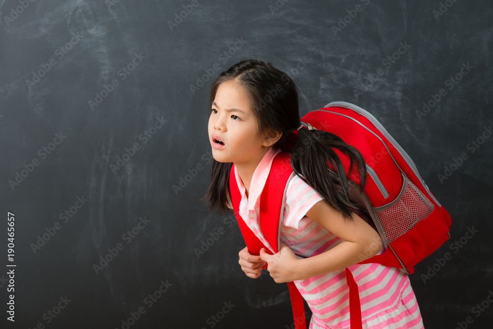 attractive cute little girl student back to school