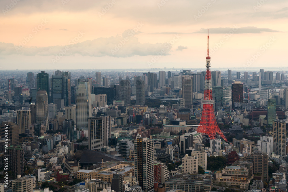 日本东京塔傍晚的东京城市景观。市中心的摩天大楼。