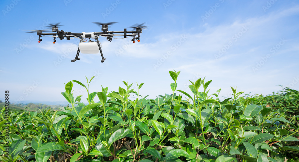 农业无人机飞到绿茶地施肥，智能农场4.0概念