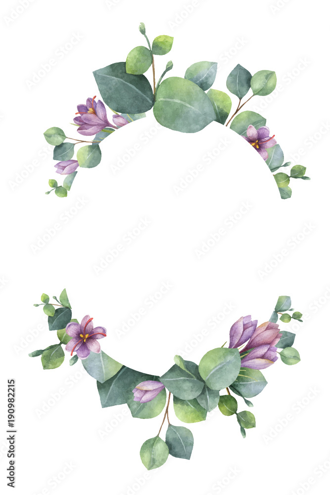 水彩矢量花环，绿色桉树叶，紫色花朵和树枝。