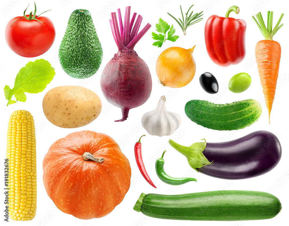 20种蔬菜和草药的独立集合。番茄、土豆、甜菜、洋葱、辣椒、黄瓜、胡萝卜