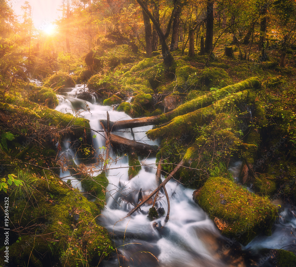秋天日落时，山河上有五颜六色的绿色森林和小瀑布。风景如画