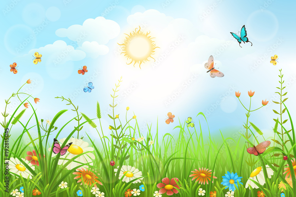 夏季或春季草地，绿草、鲜花和蝴蝶的景色