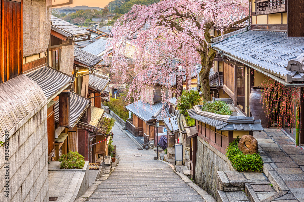 日本京都，东山区的春天。