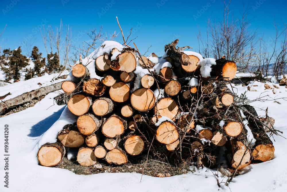 雪上的一堆碎木头。山上阳光明媚。
