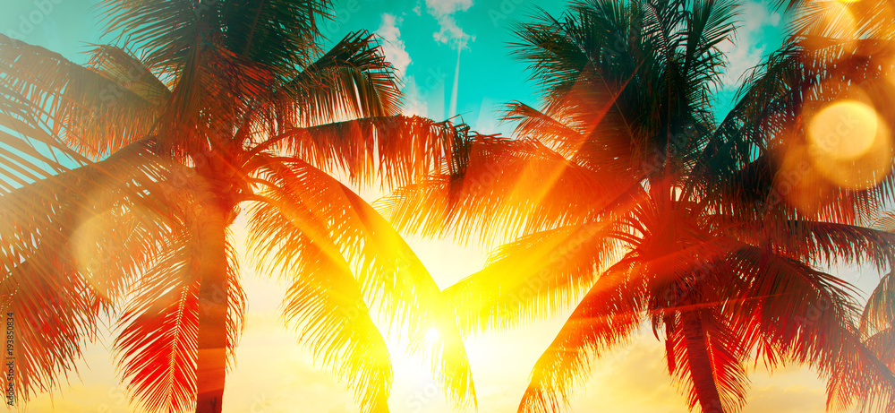 日落天空中的热带棕榈树。棕榈树和美丽的天空背景。旅游，度假概念ba