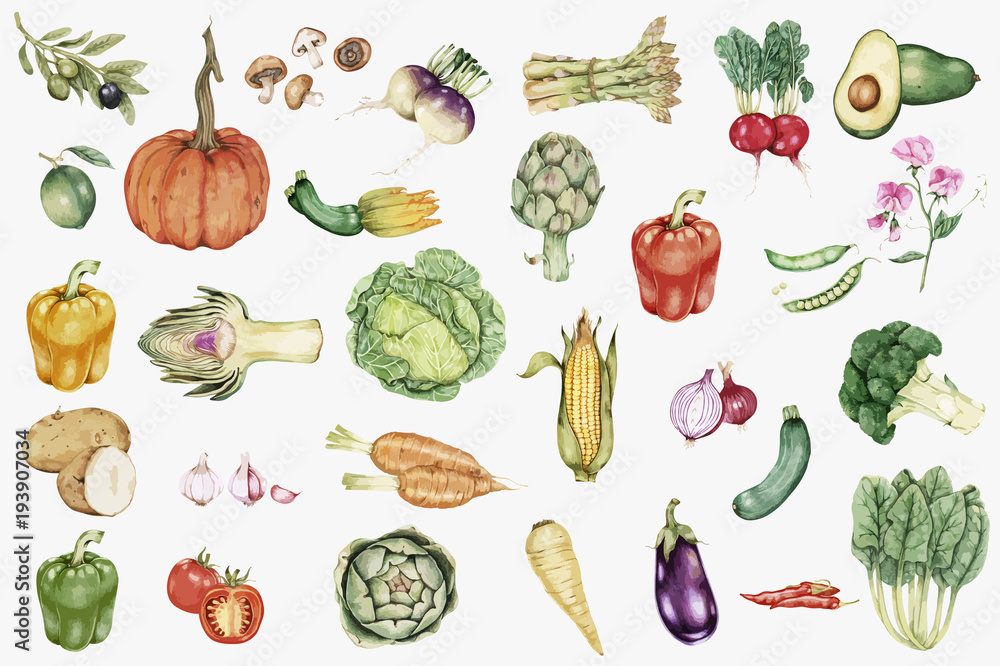 手绘蔬菜收藏插图