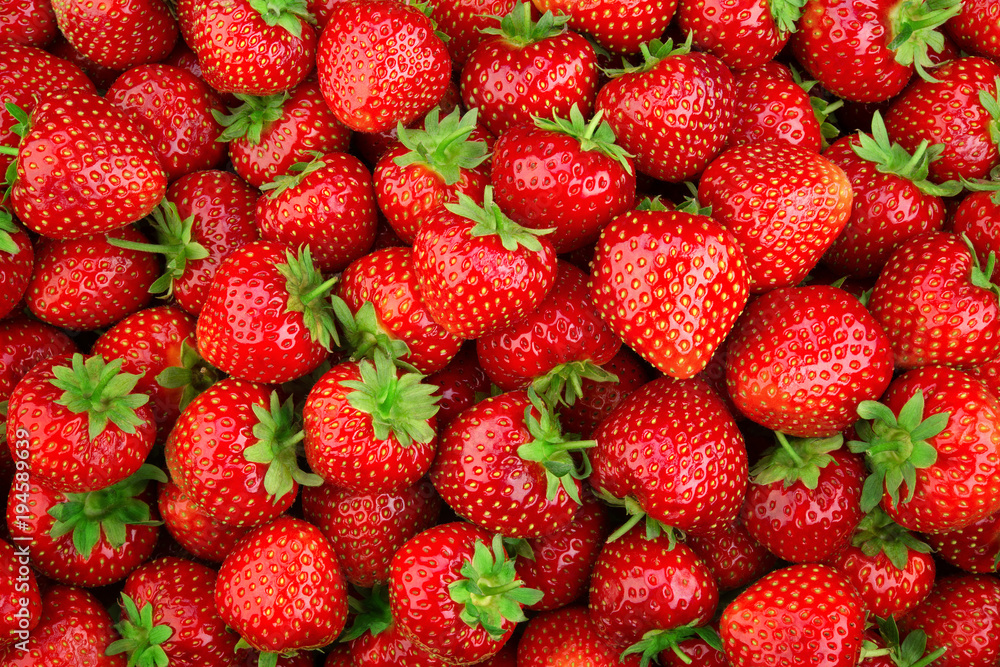 草莓。新鲜有机浆果宏观。水果背景