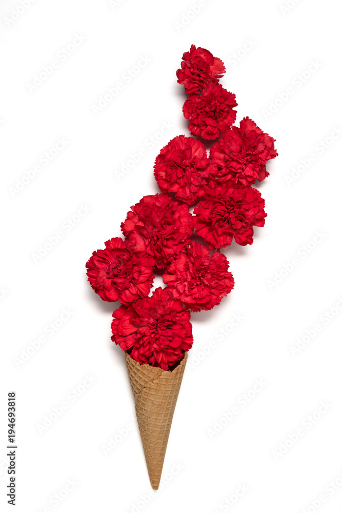 带红色康乃馨花的冰淇淋蛋卷。夏季简约概念。平躺。