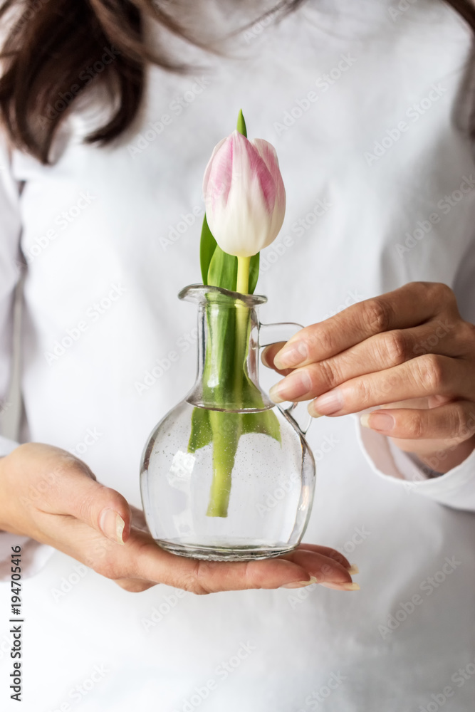 女人手中的小花瓶里的春天粉色郁金香。
